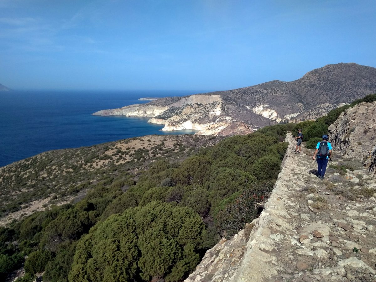 Funding approved for two more member islands! DAFNI Network of